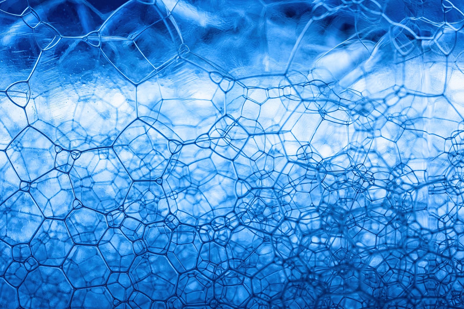 Medical Science & Technology